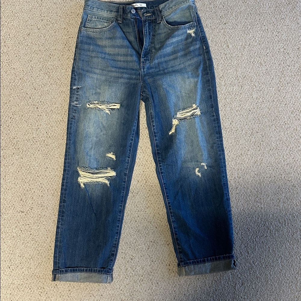Willow and root the vintage dad jean